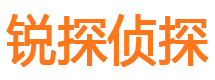 桃城市私家侦探